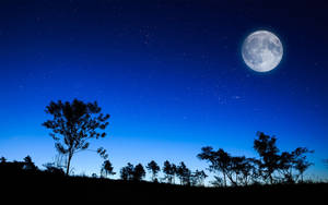 Moon 1920 X 1200 Wallpaper