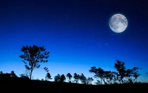 Moon 1920 X 1200 Wallpaper