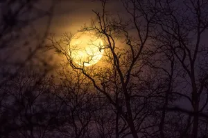 Moon 2048 X 1365 Wallpaper