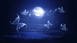Moon And Night Butterfly Wallpaper