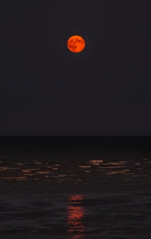 Moon Lunar Eclipse View Wallpaper