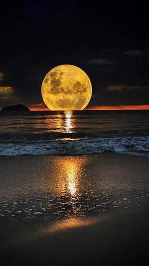 Moon Over Sea Wallpaper