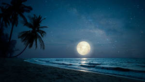 Moonlight Beach Night View Wallpaper