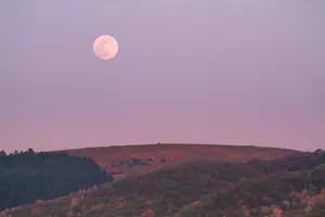Moonlight Pink Sky Wallpaper