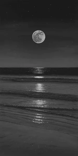 Moonlit Beach Noir Wallpaper