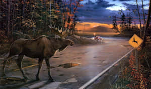 Moose_ Crossing_at_ Dusk Wallpaper