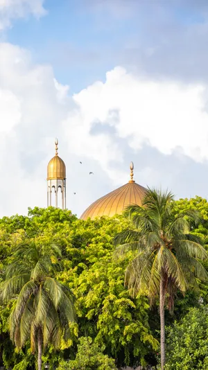 Mosque Of Allah Within Trees Wallpaper
