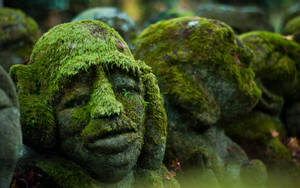 Moss Covered Sculptures Wallpaper