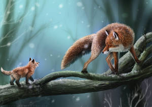 Mother And Baby Fox Wallpaper