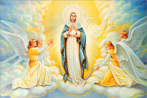 Mother Mary Our Lady Of Assumption Wallpaper