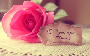 Mothers Day Roseand Note Wallpaper