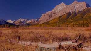 Mount Kidd Mountains Wallpaper
