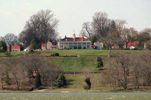 Mount Vernon Empty Trees Wallpaper
