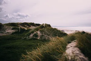 Mountain Covered By Grass Beside The Seashore Wallpaper