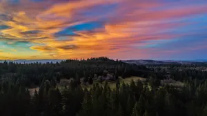 Mountain Pine Tree Sunset Wallpaper