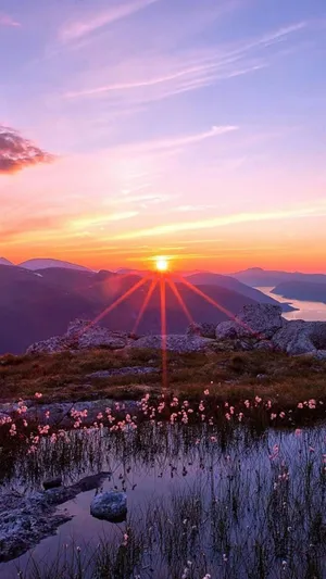 Mountain Pond Sunrise Wallpaper