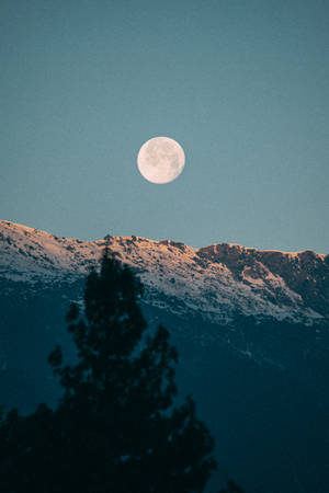 Mountain Tree And Beautiful Full Moon Wallpaper