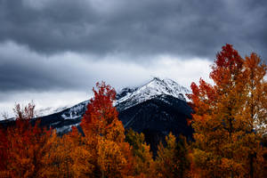 Mountains And Trees Fall Wallpaper