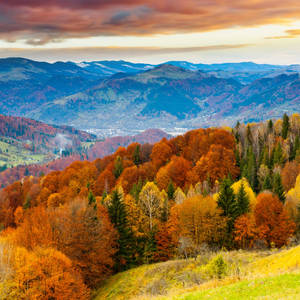 Mountains Trees During Fall Wallpaper