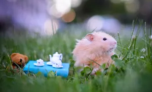 Mouse With Tea Set Wallpaper