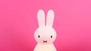 Mr. Maria Miffy Nightlamp Wallpaper