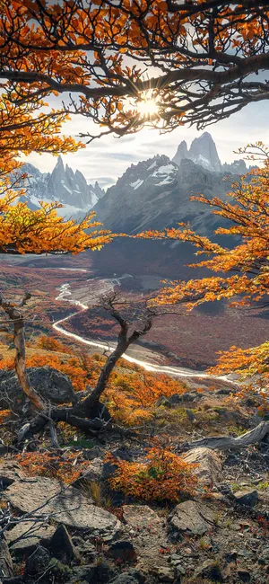 Mt. Fitz Roy Patagonia Autumn Iphone Wallpaper