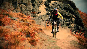 Mtb Ride In Brown Bush Mountain Wallpaper