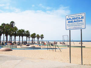 Muscle Beach In Santa Monica Wallpaper