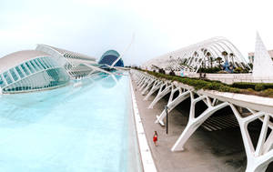 Museu De Les Ciències Príncipe Felipe Valencia Wallpaper