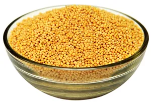 Mustard Seedsin Glass Bowl Wallpaper