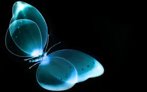 Mysterious Dark Butterfly In Enchanting Forest Wallpaper