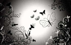 Mysterious Dark Butterfly On A Black Background Wallpaper