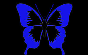 Mysterious Dark Butterfly Perching On Purple Flowers Wallpaper