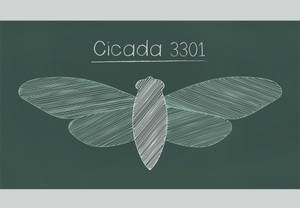 Mysterious Green Poster Of Cicada 3301 Wallpaper
