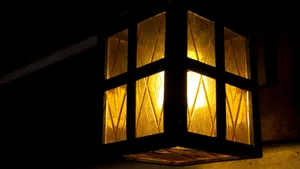 Mystical Autumn Forest Path Wallpaper