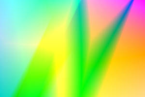 Mystical Dragon In Enchanted Forest Wallpaper