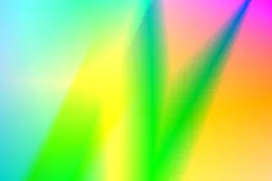 Mystical Dragon In Enchanted Forest Wallpaper