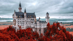 Mystical Neuschwanstein Castle Amidst Autumnal Beauty Wallpaper