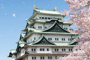 Nagoya Castle At Spring Wallpaper