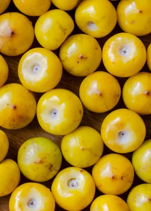 Nance Fruit Poster Wallpaper