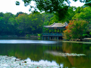 Nanjing Liu Hui Pavilion Wallpaper