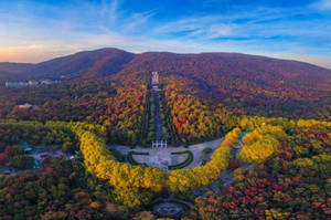 Nanjing Zijin Mountain Wallpaper