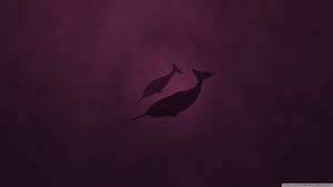 Narwhal Maroon Monochrome Wallpaper