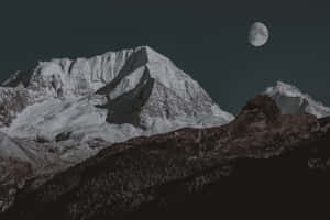 “natural Beauty In Shades Of Darkness” Wallpaper