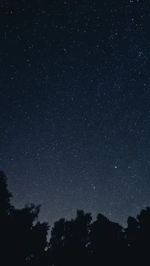 Natural Iphone Wallpapers For The Nature Lovers. Vscocam Wallpaper