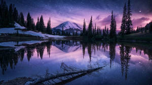 Natural Purple Aesthetic Lake In Forest At Night Wallpaper