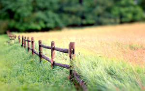 Nature Blur Field Background Wallpaper