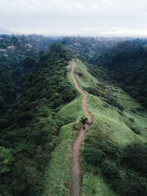 Nature Hill View Wallpaper