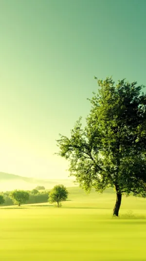 Nature-inspired Artistry: Android Wallpaper Wallpaper