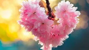 Nature Love Pink Flowers Wallpaper
